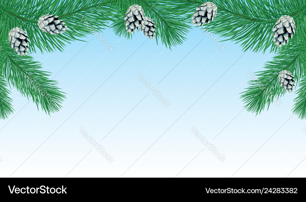 Pine branches with cones Royalty Free Vector Image