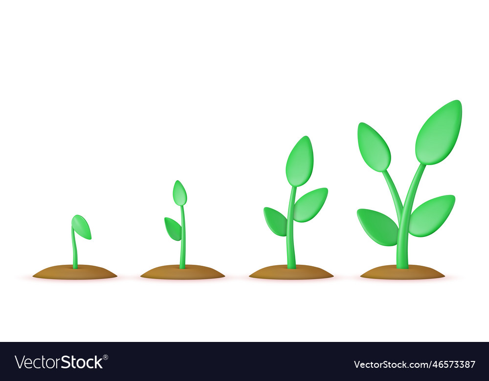 3d sprouts phases plant growing Royalty Free Vector Image