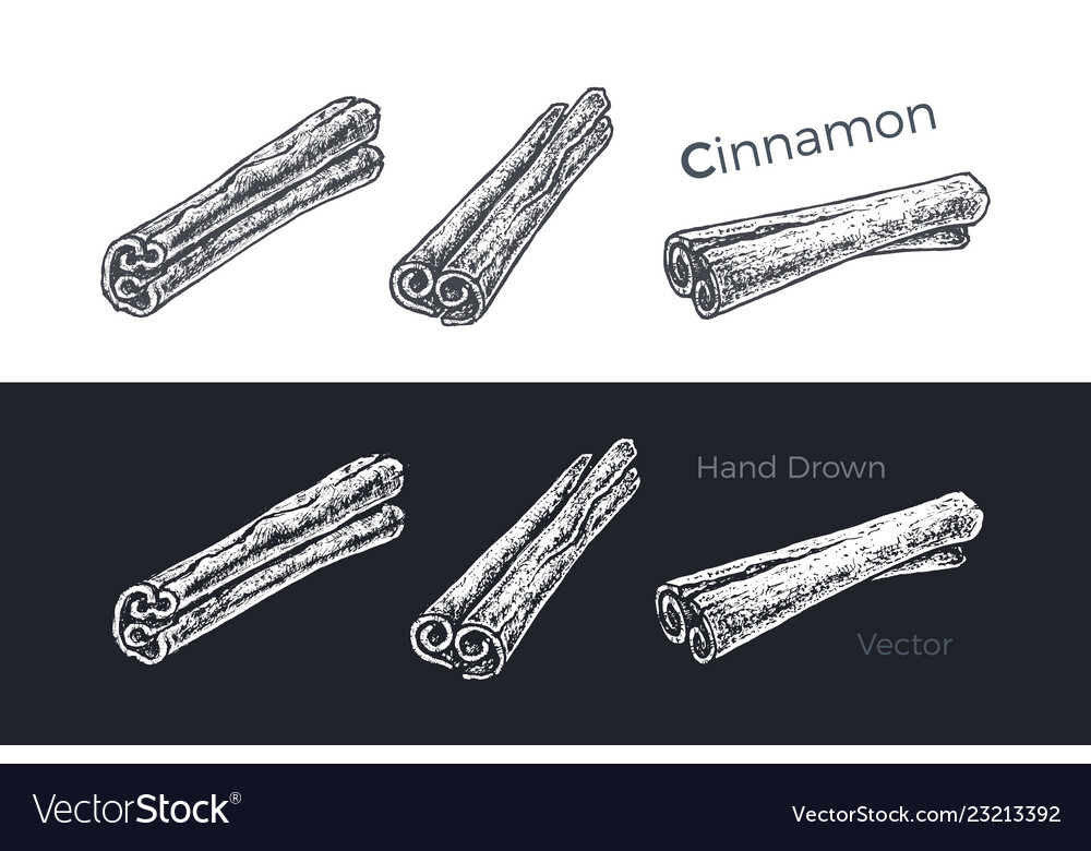 Hand drawn cinnamon sticks sketch set