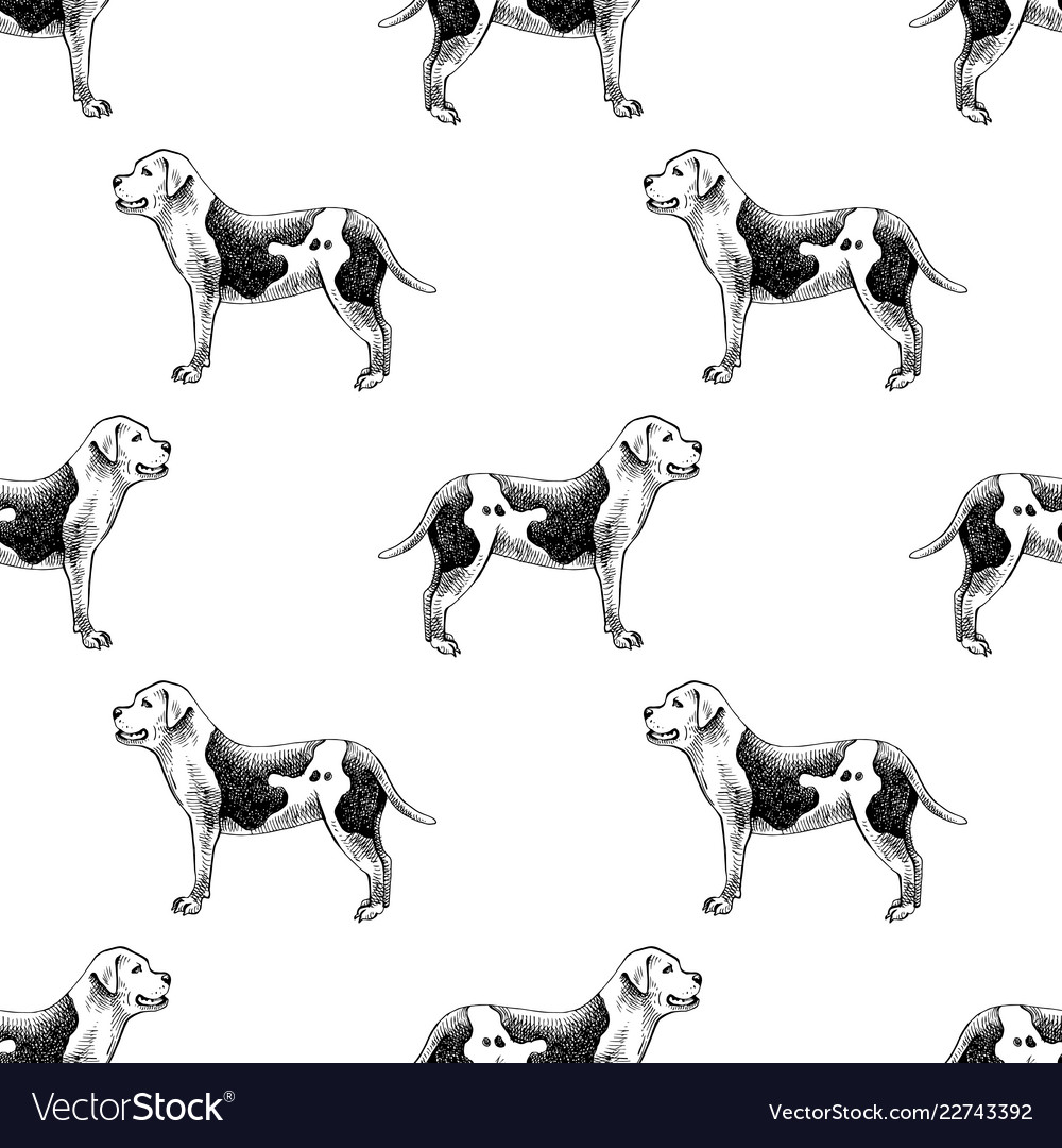 Hand drawn seamless pattern with american bulldogs vector image Hand drawn seamless pattern with american bulldogs