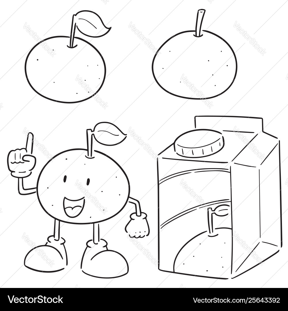 Set oranges Royalty Free Vector Image - VectorStock