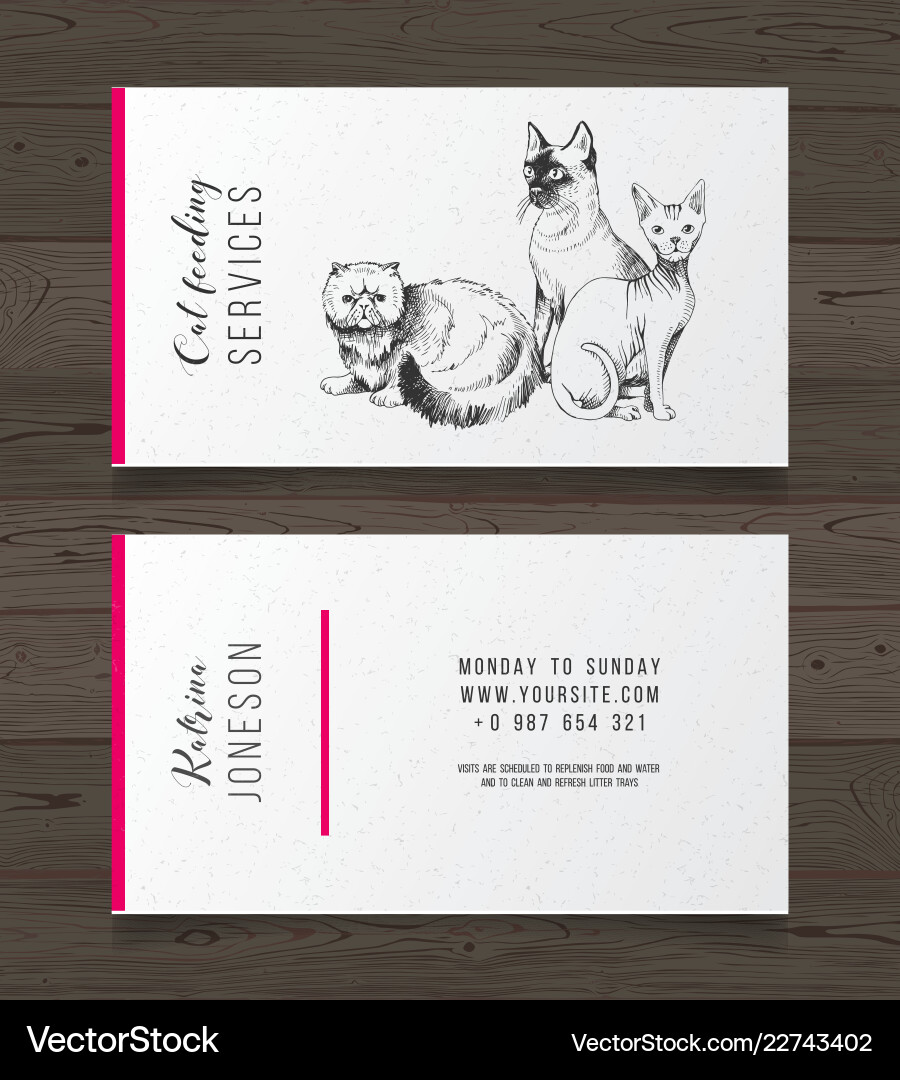 Cat feeding services business card Royalty Free Vector Image