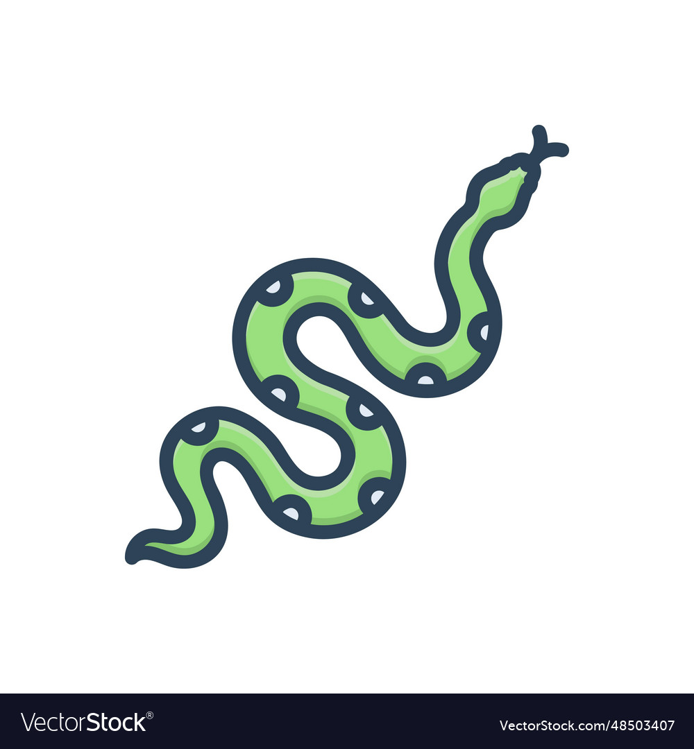 Snake Royalty Free Vector Image - VectorStock