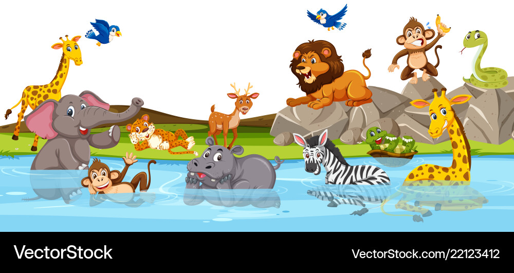 Wild animal at the river Royalty Free Vector Image
