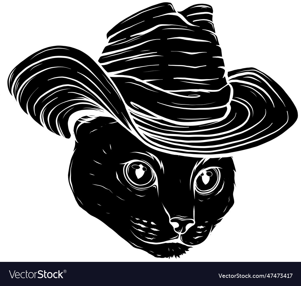 Black And White Cat In The Hat Images