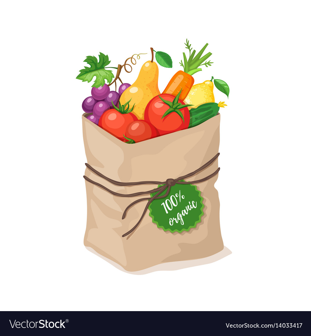 https://cdn3.vectorstock.com/i/1000x1000/34/17/grocery-paper-bag-vector-14033417.jpg