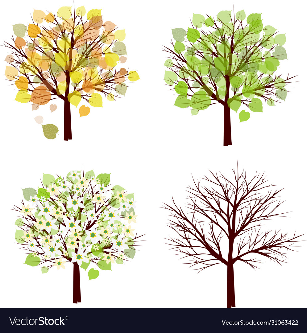 Different seasons Royalty Free Vector Image - VectorStock