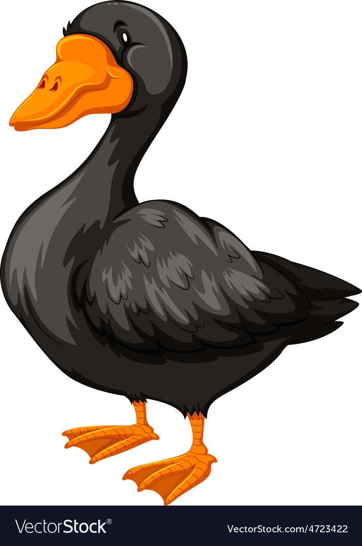 Goose Royalty Free Vector Image - VectorStock