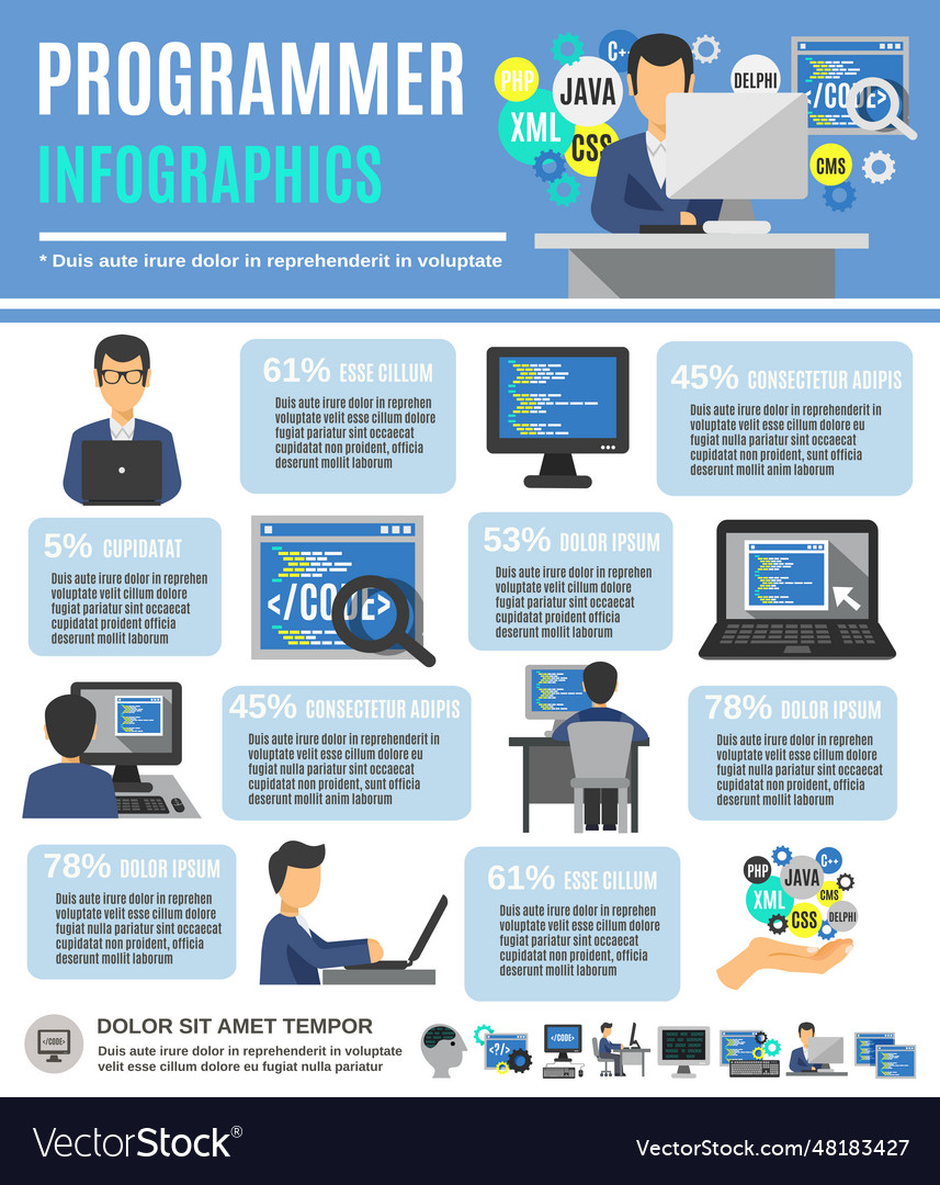 Programmer infographics set Royalty Free Vector Image