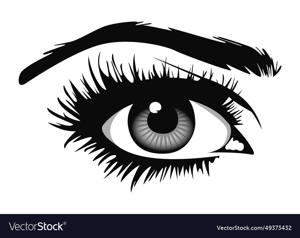 Beautiful female eye with big lashes and eyebrows Vector Image