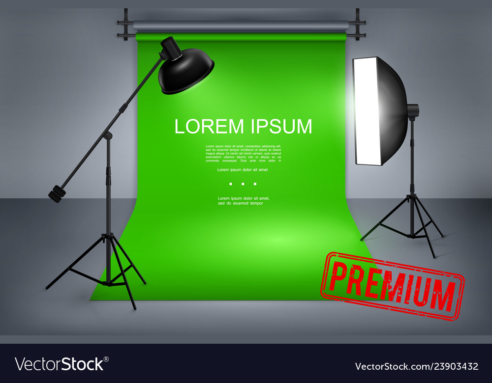 Professional photography studio template Vector Image