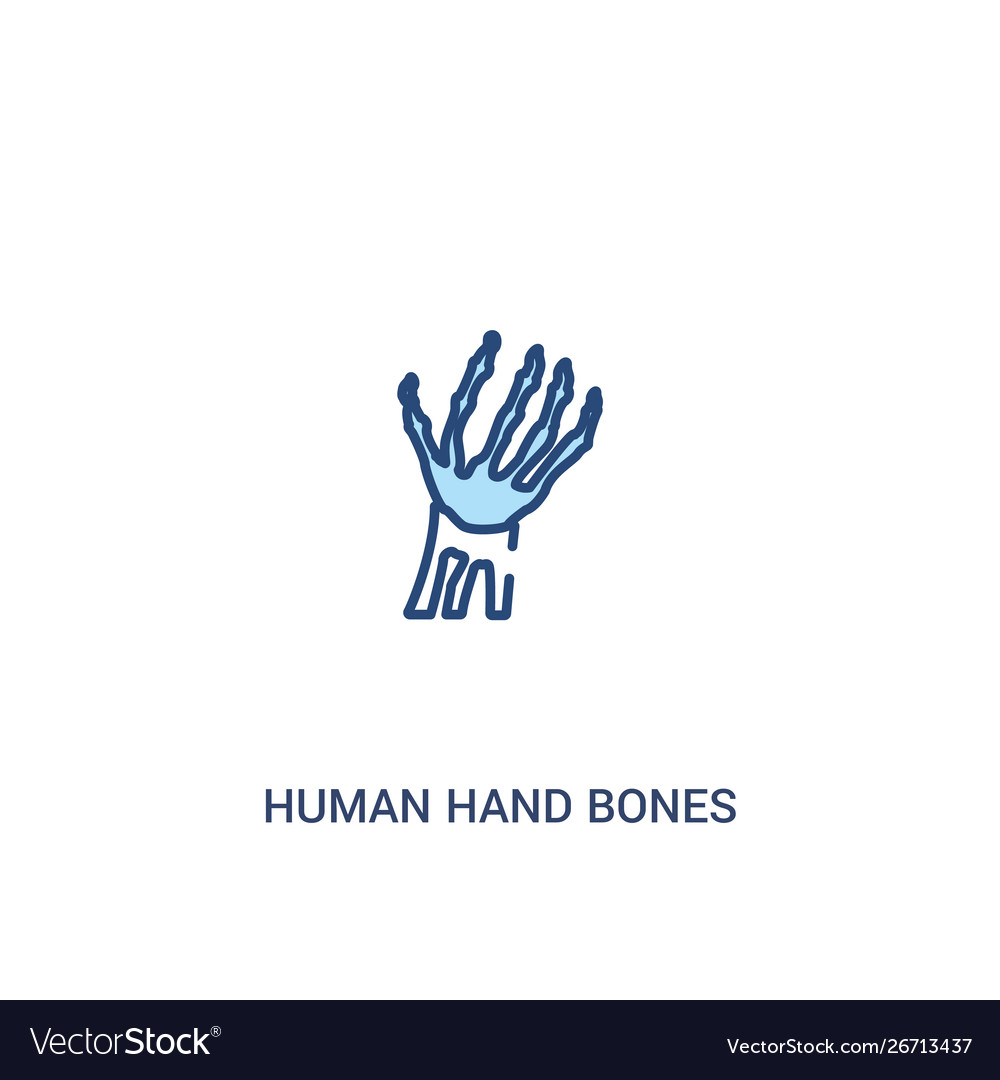 Human hand bones concept 2 colored icon simple