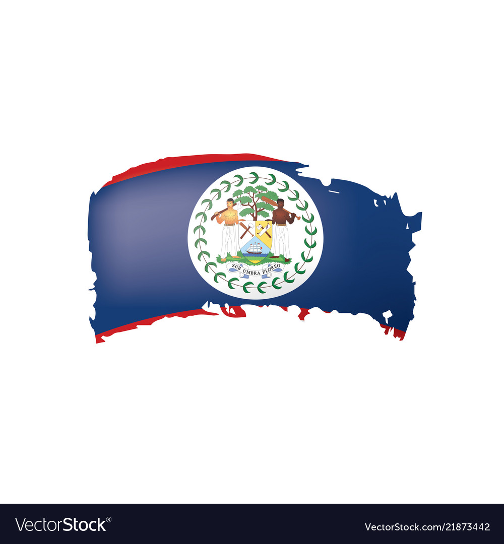 Belize flag on a white Royalty Free Vector Image