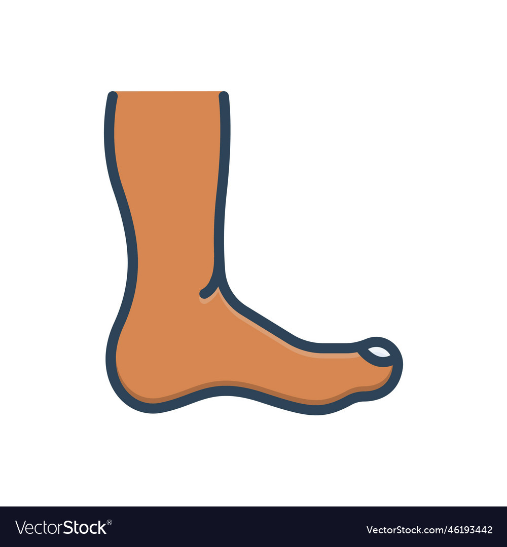 Feet Royalty Free Vector Image - VectorStock