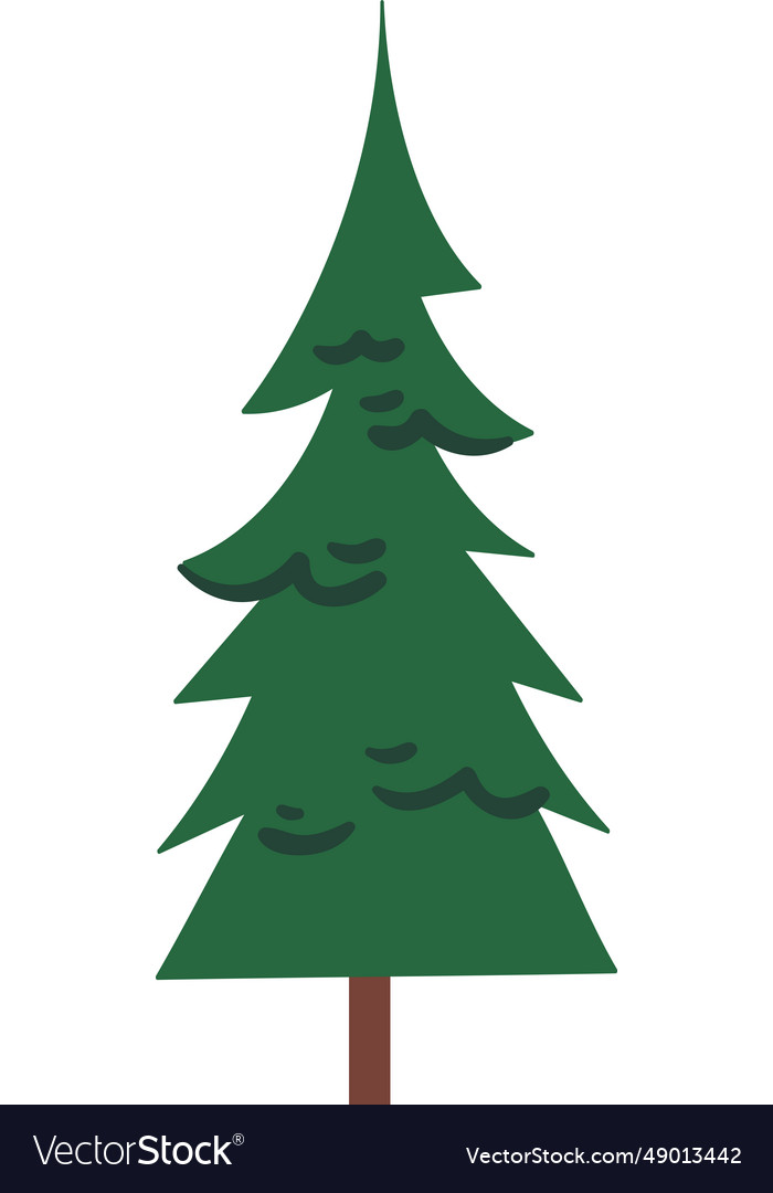 Fir tree plant Royalty Free Vector Image - VectorStock