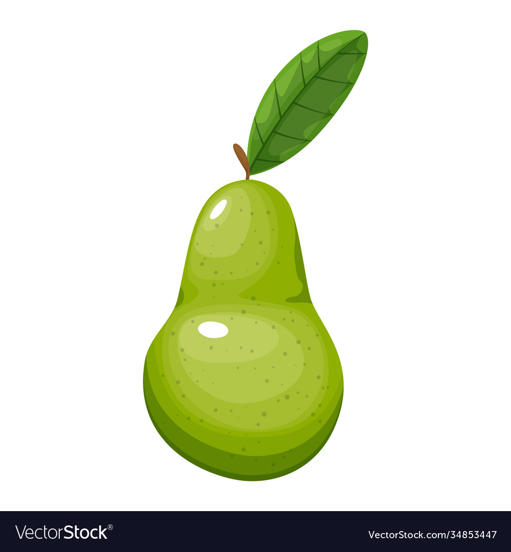 Colorful fruit pear icon Royalty Free Vector Image