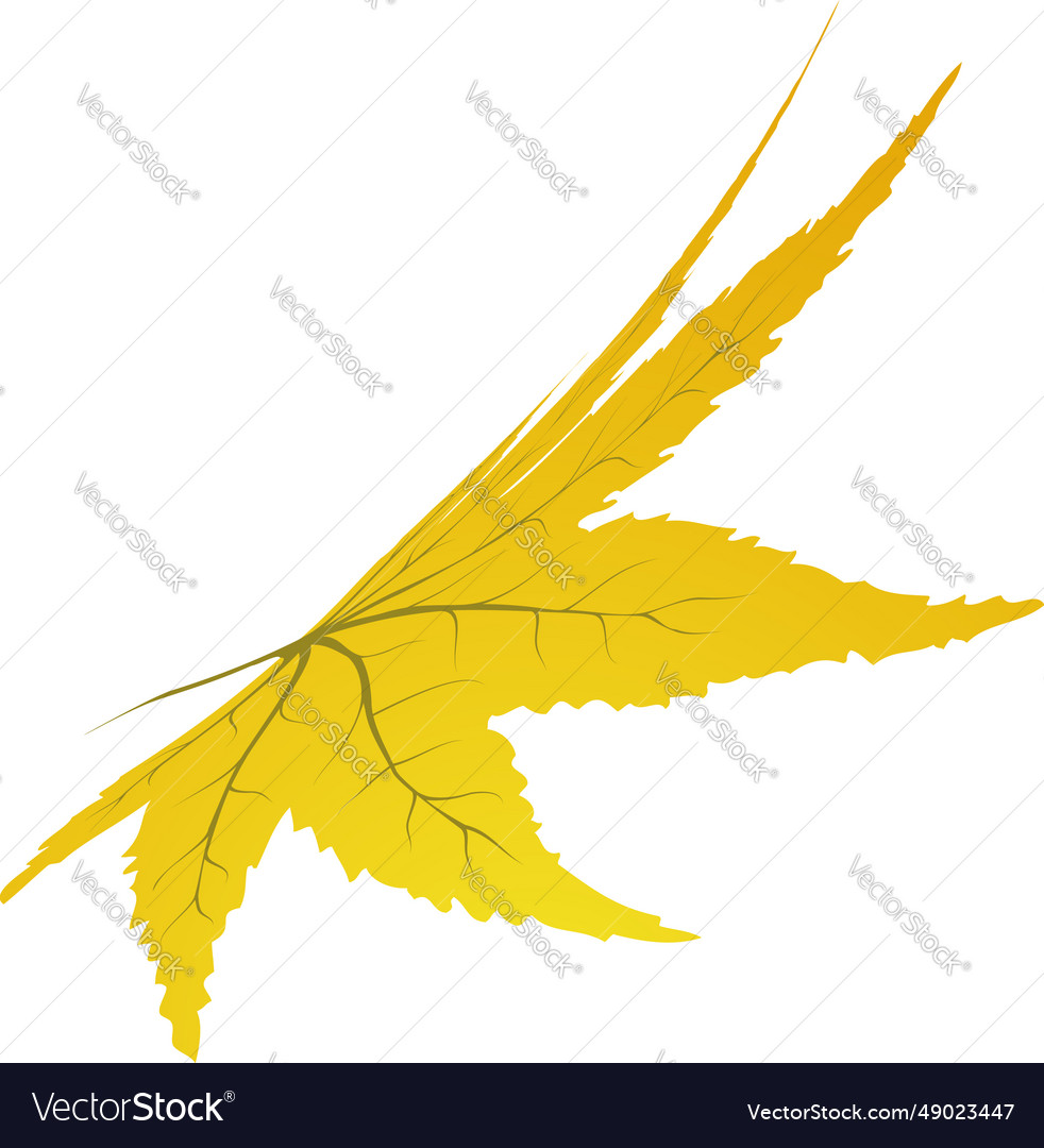 Maple autumn leaf Royalty Free Vector Image - VectorStock