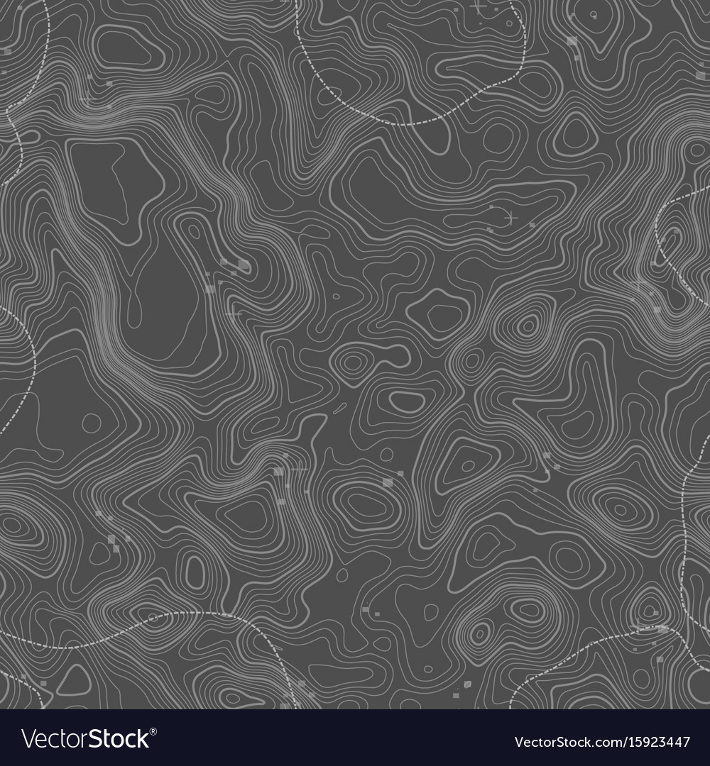 Seamless pattern topographic map background Vector Image