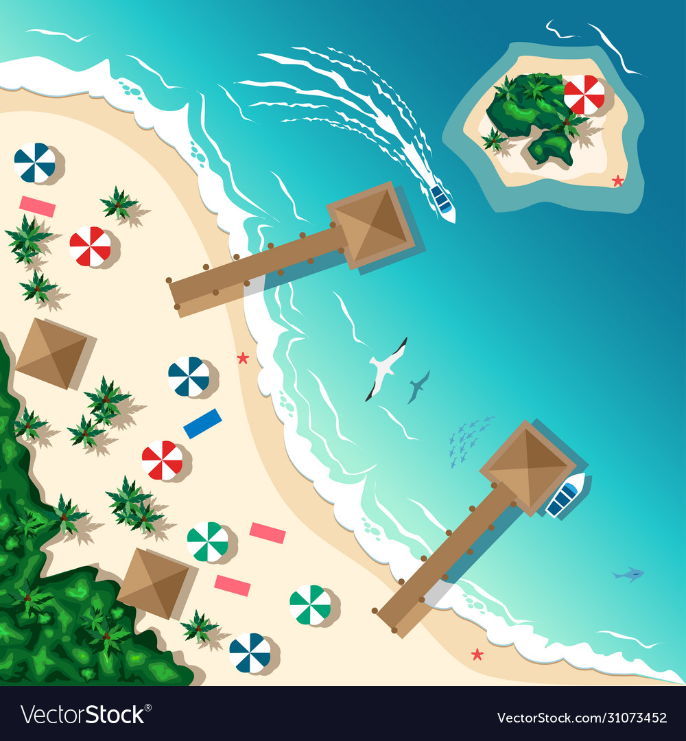 Aerial view a tropical beach Royalty Free Vector Image