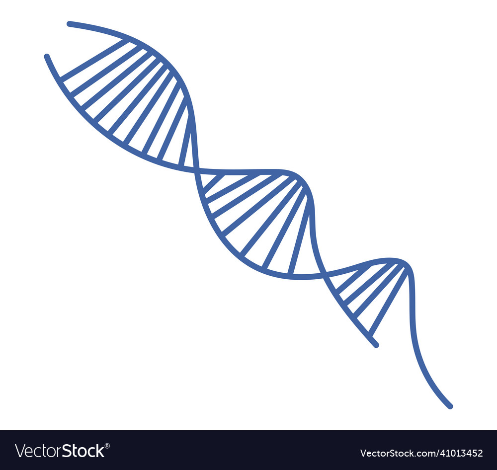 Blue dna strand icon Royalty Free Vector Image