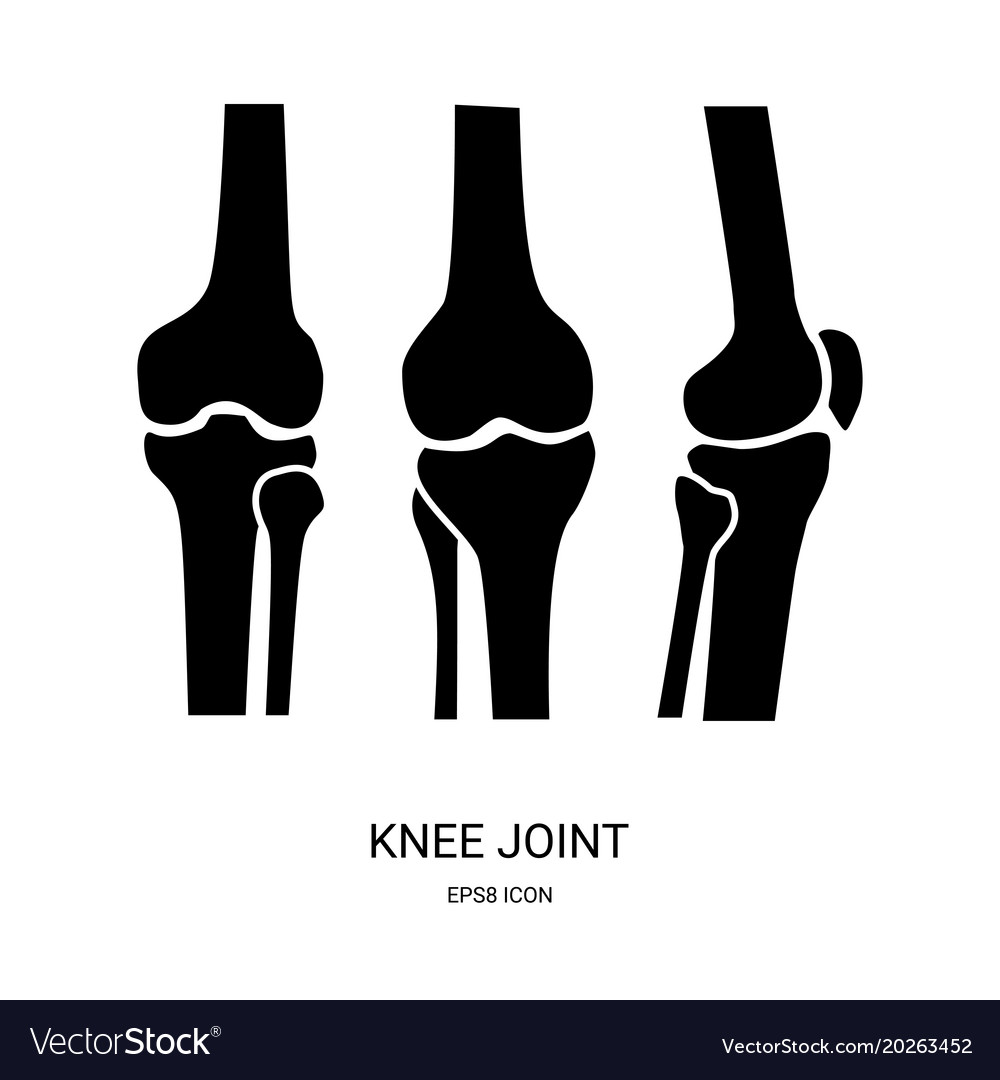 Knee Joint Icon Royalty Free Vector Image - Vectorstock