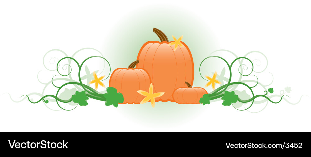 Three pumpkins Royalty Free Vector Image - VectorStock