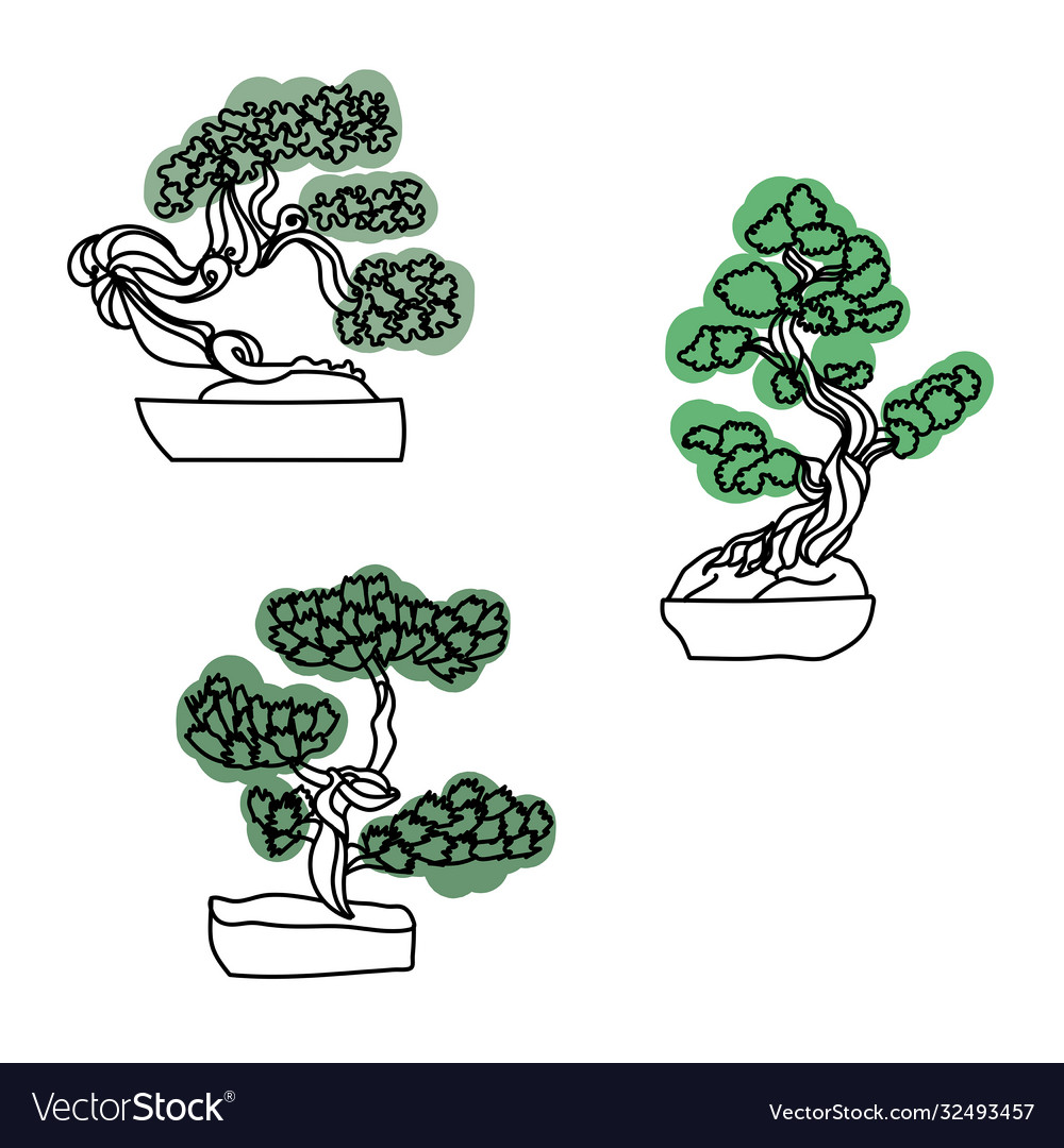 Set outline bonsai trees with green leaves