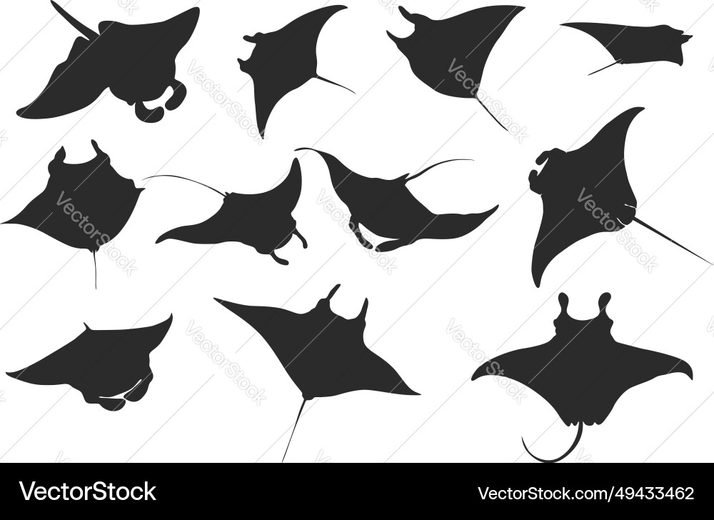 Manta ray silhouette svg Royalty Free Vector Image