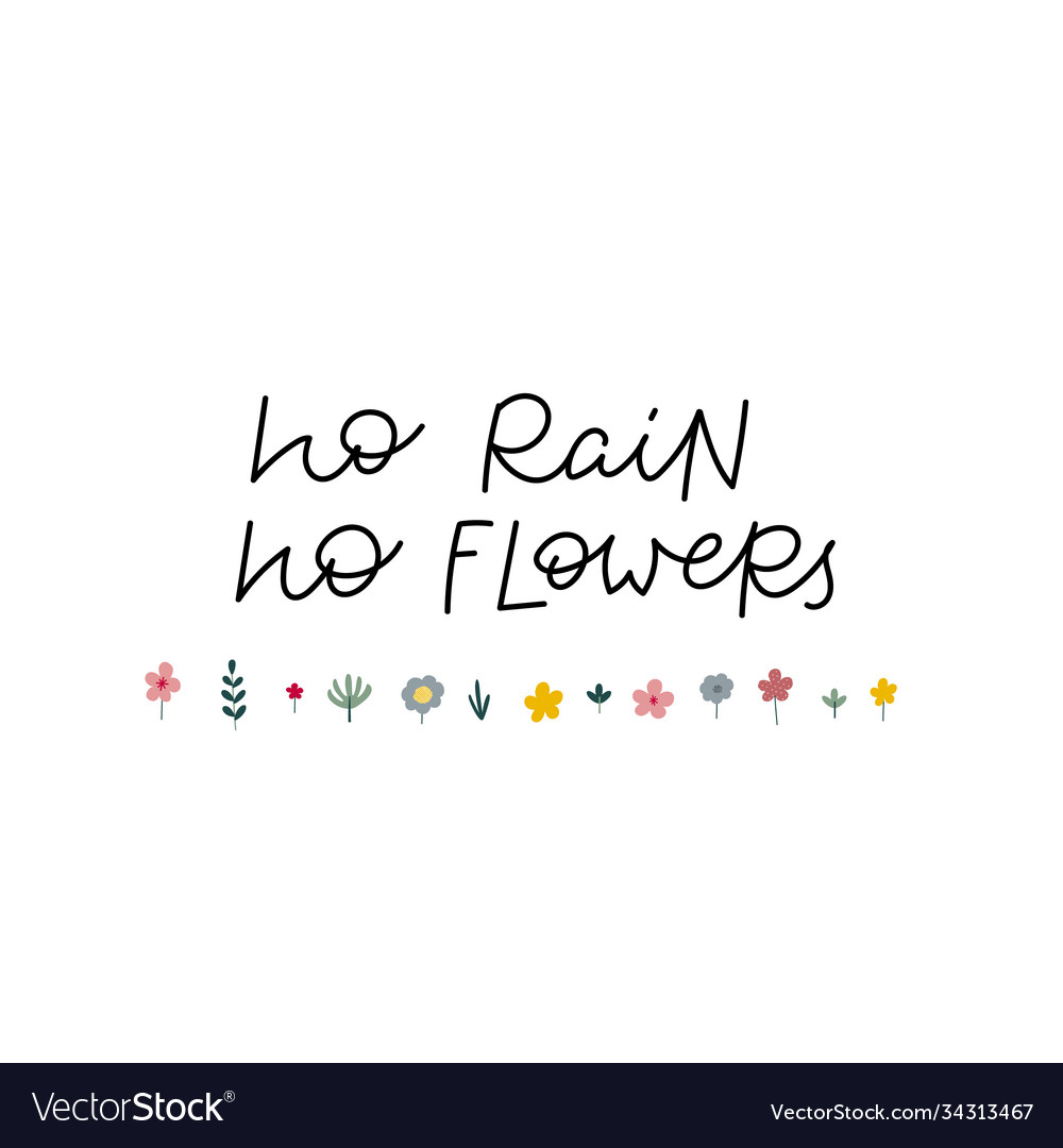 No rain flowers calligraphy quote lettering