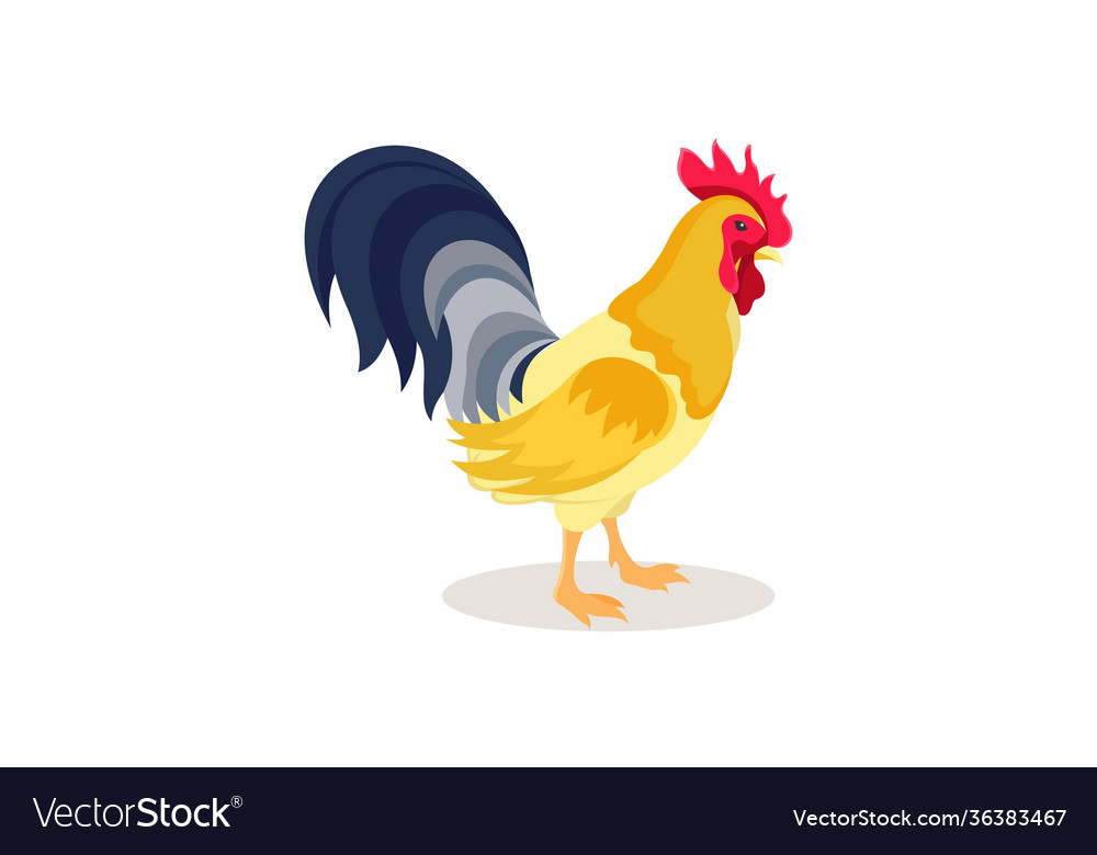 Rooster character portrait flat design