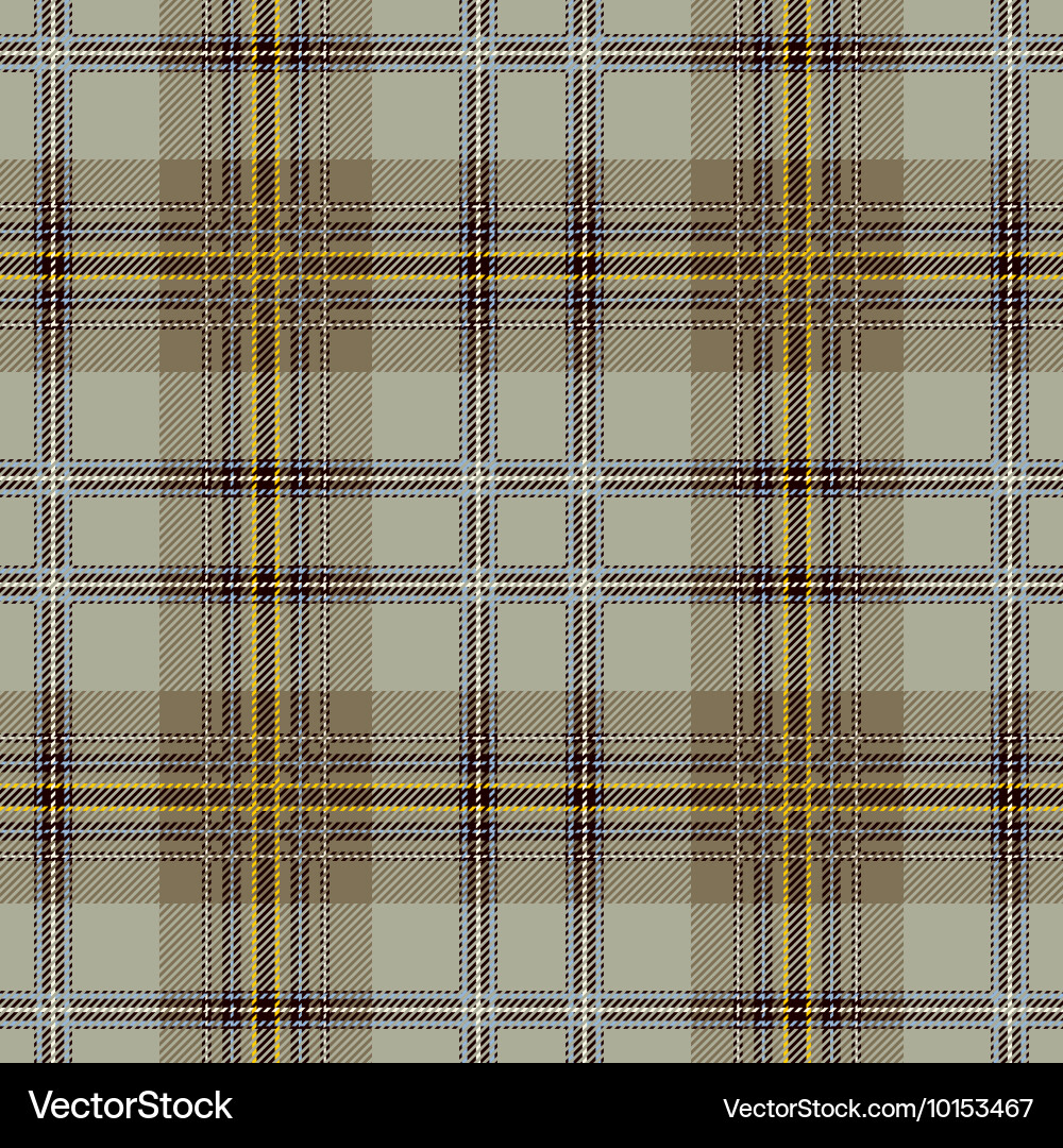 Seamless tartan pattern Royalty Free Vector Image