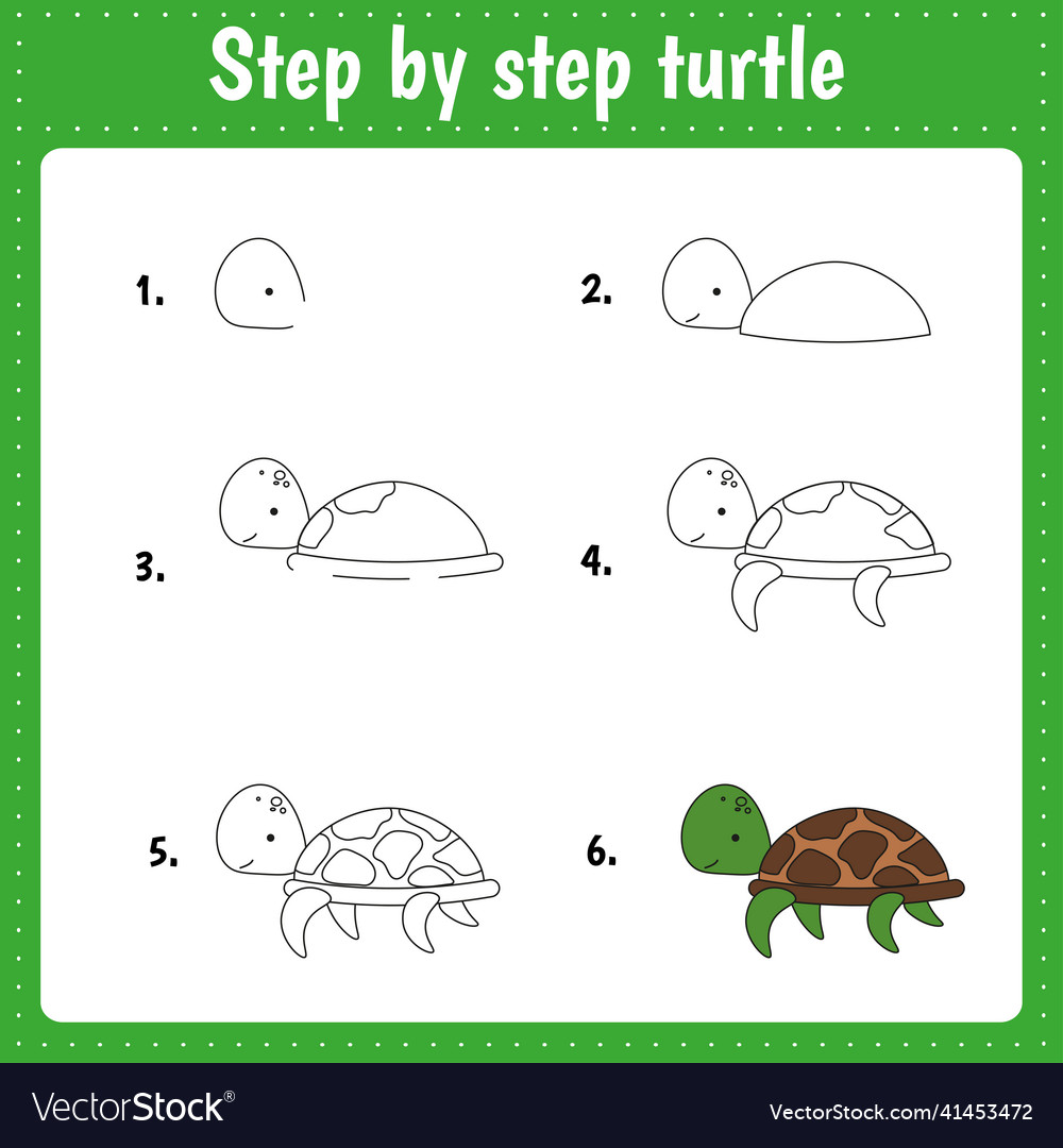 Drawing lesson for children how draw a turtle Vector Image