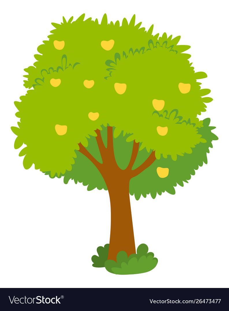 Apple tree with yellow fruits green crown isolated