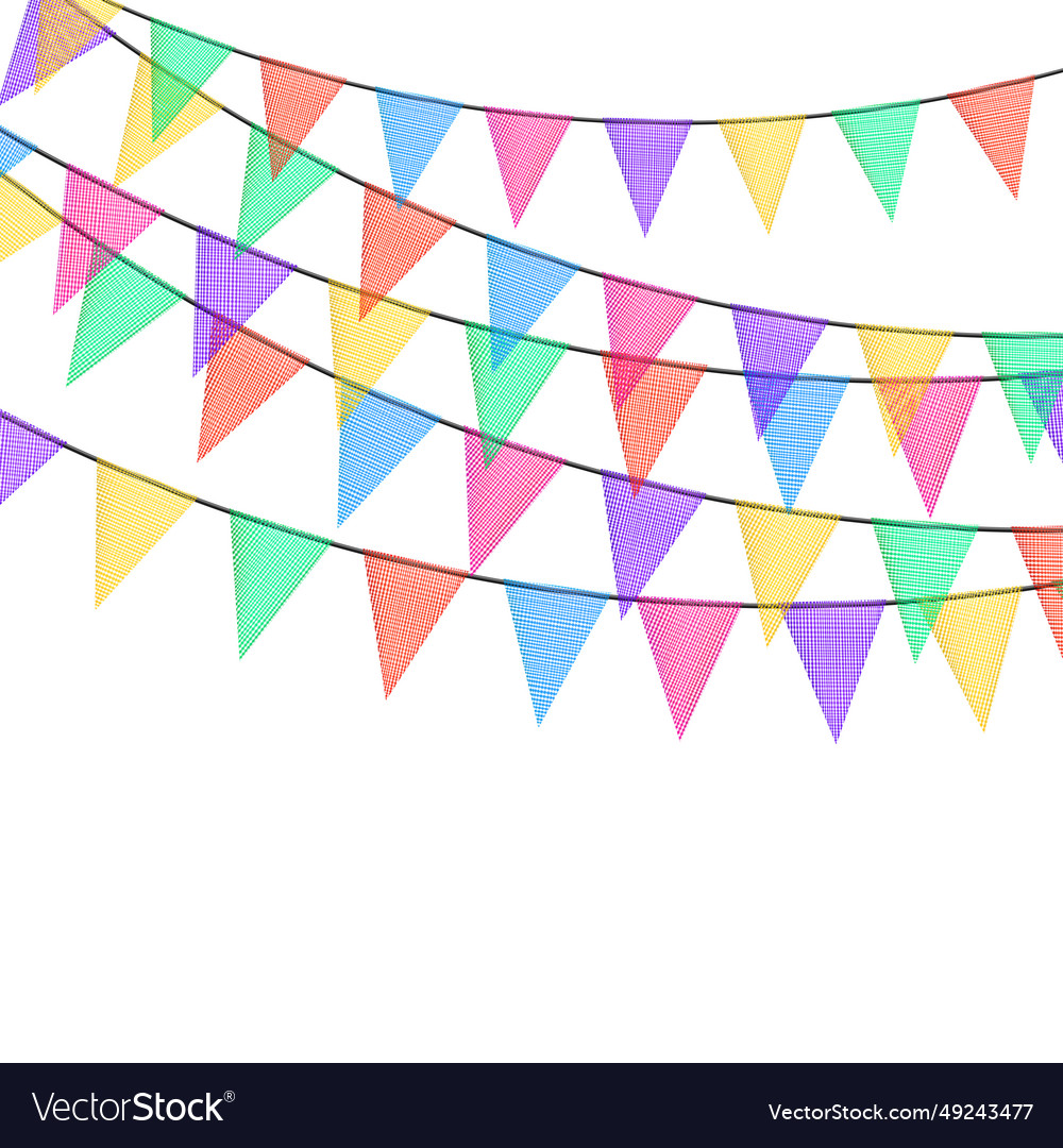 Birthday bunting garlands with flags made Vector Image