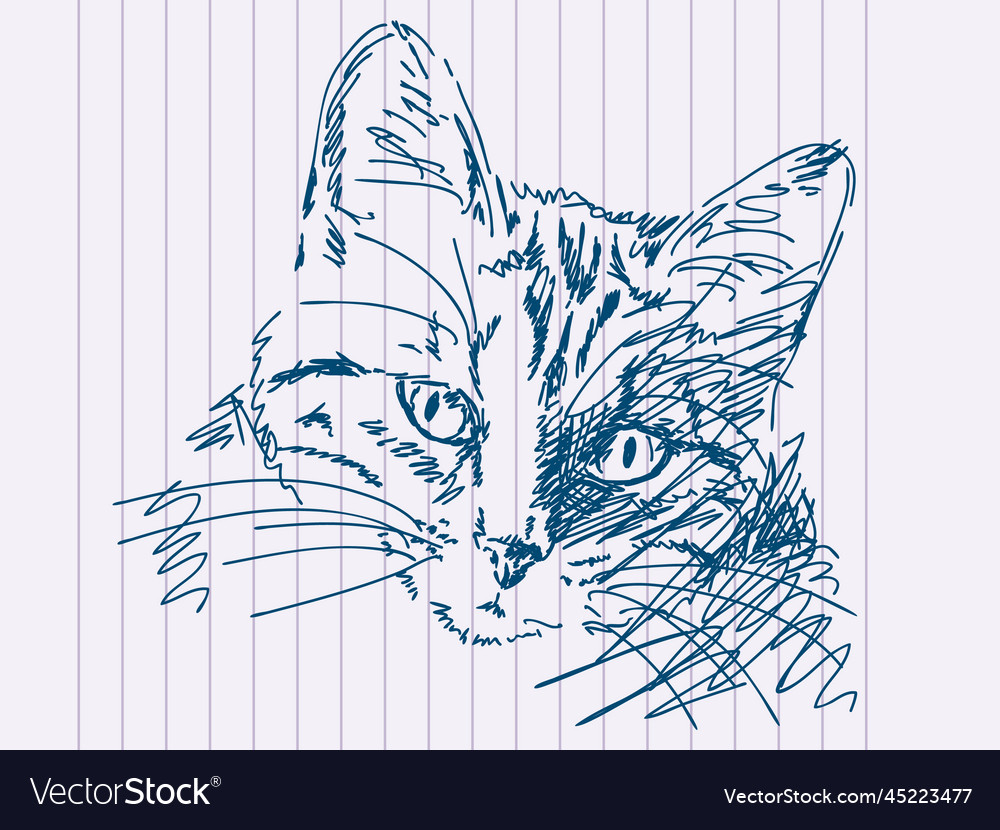 Hand drawn cat Royalty Free Vector Image - VectorStock