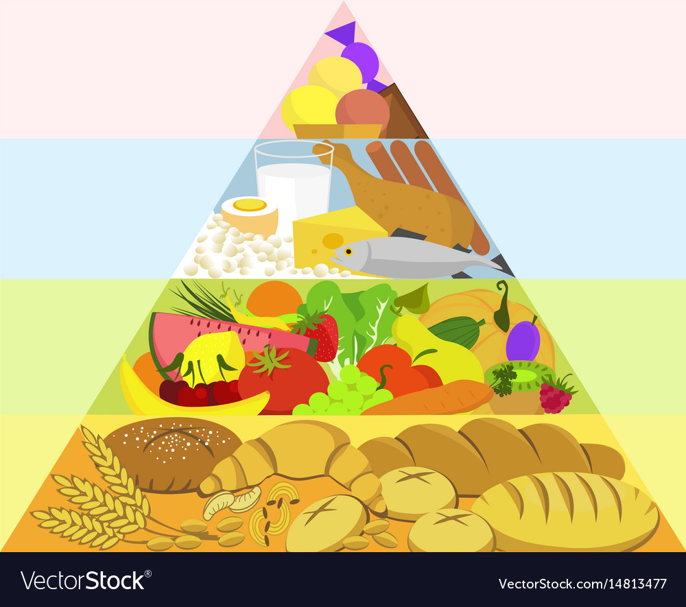 Healthy food pyramid Royalty Free Vector Image