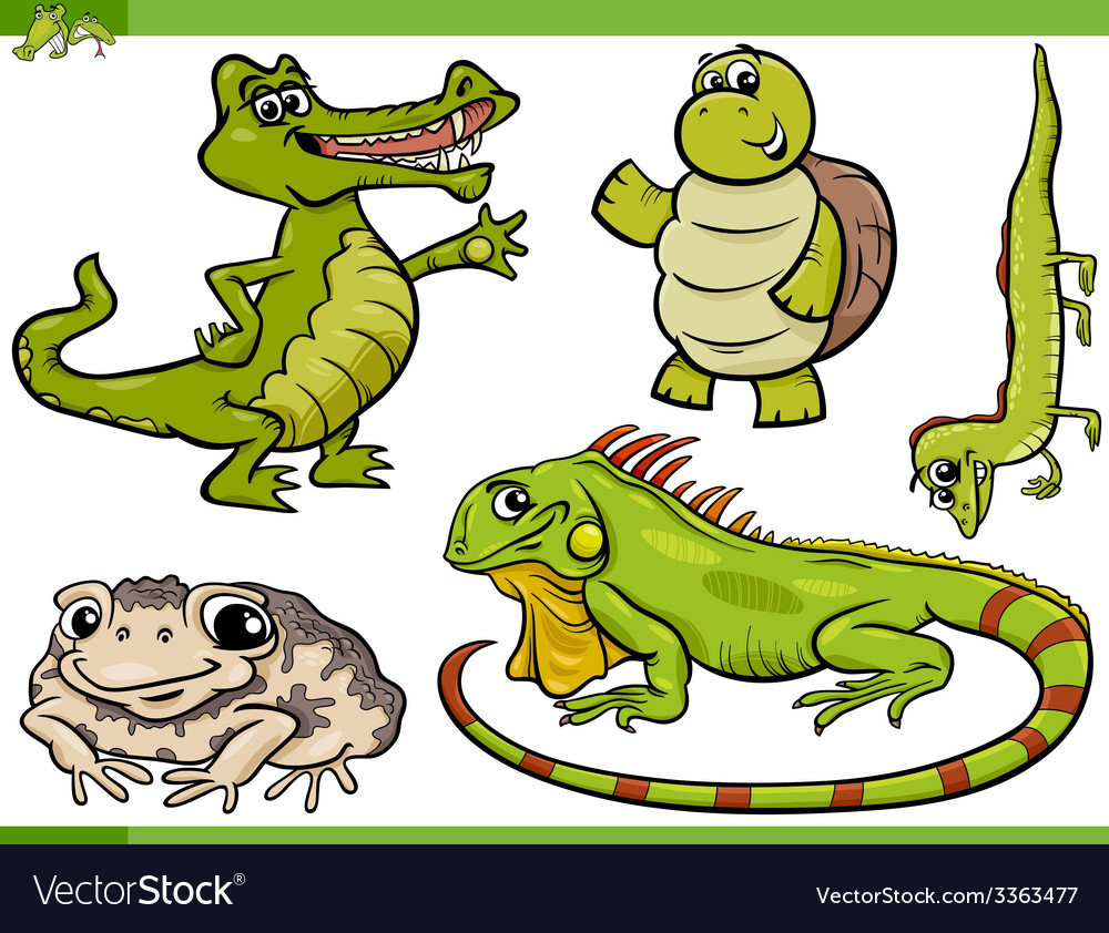 Reptiles and amphibians cartoon set Royalty Free Vector