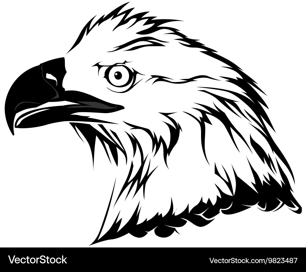 Eagle head Royalty Free Vector Image - VectorStock