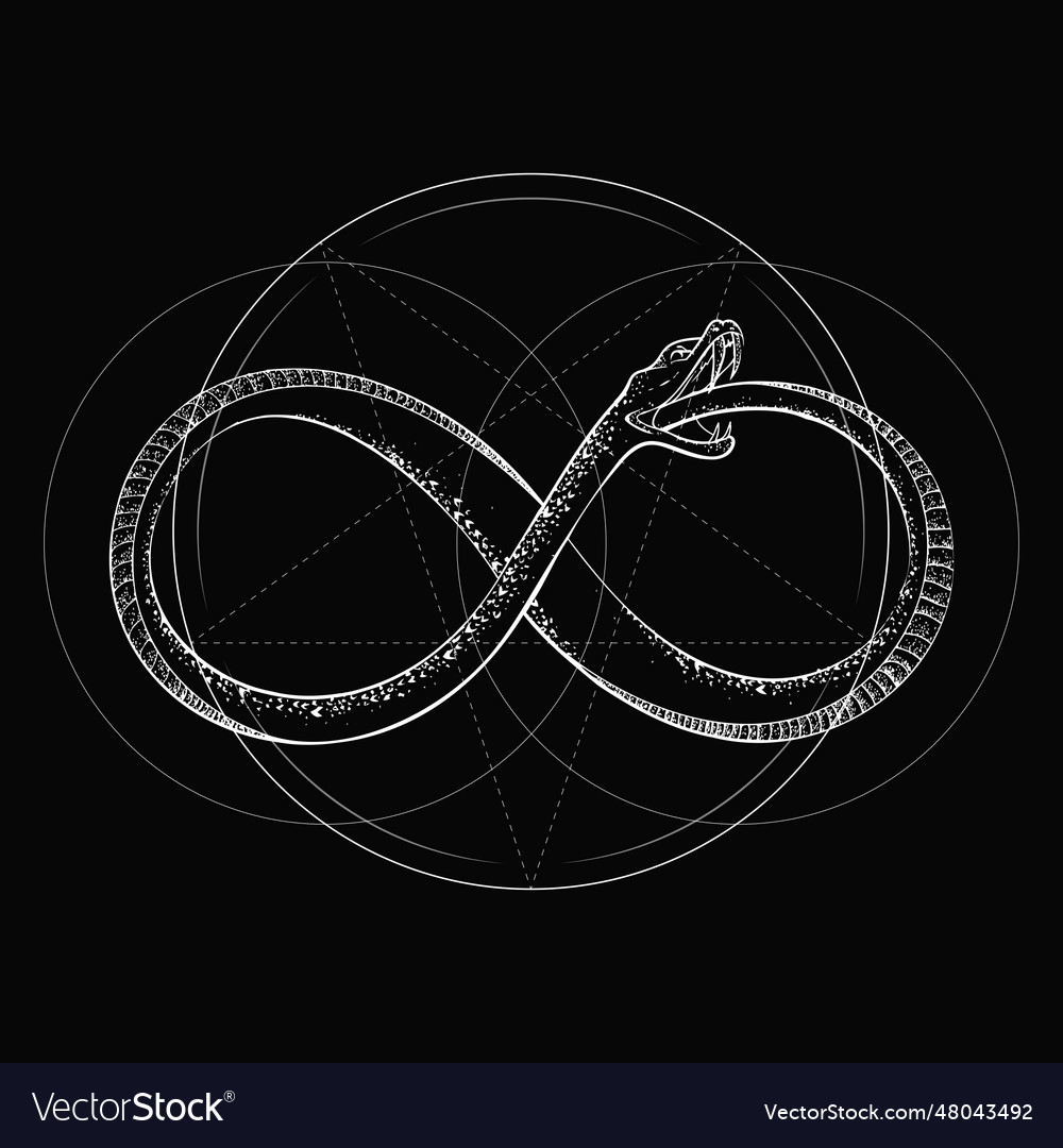 Infinite ouroboros Royalty Free Vector Image - VectorStock