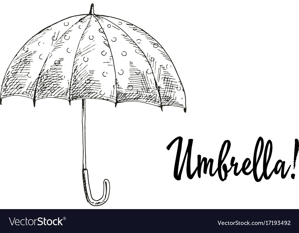 Opened umbrella contoured