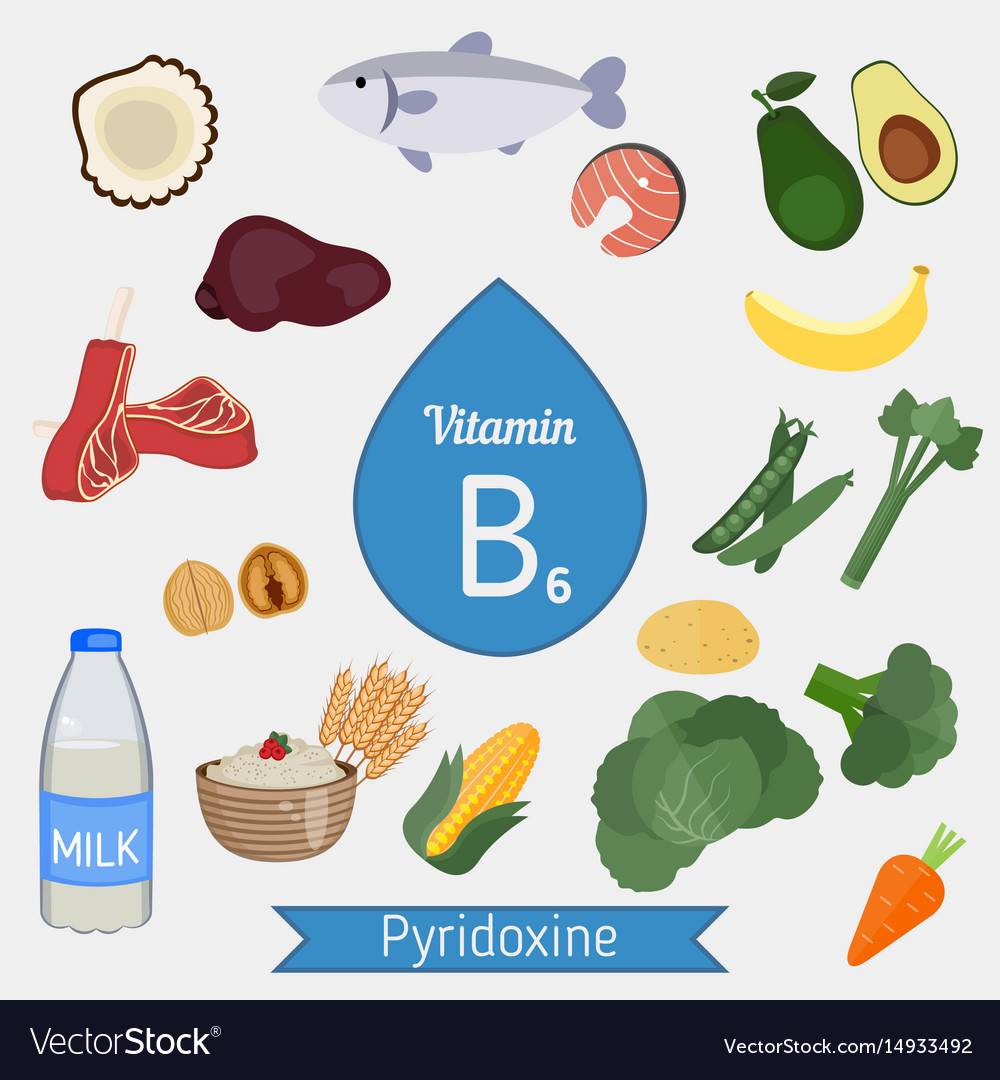 Vitamin b6 or pyridoxine infographic Royalty Free Vector