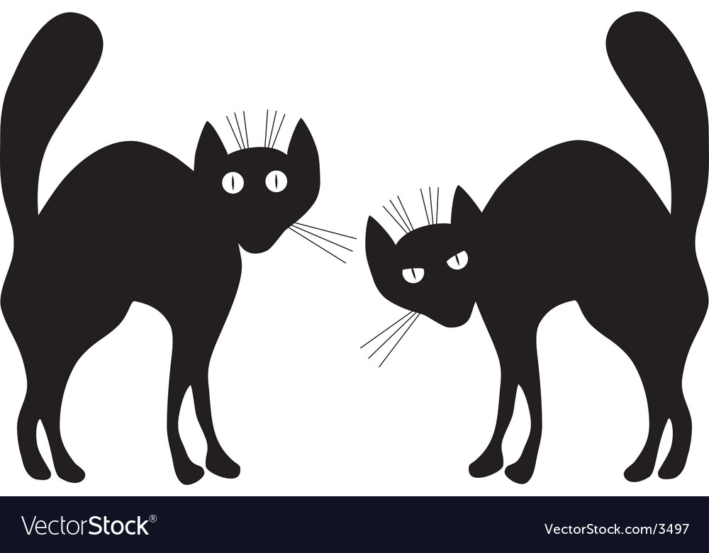 two black cats