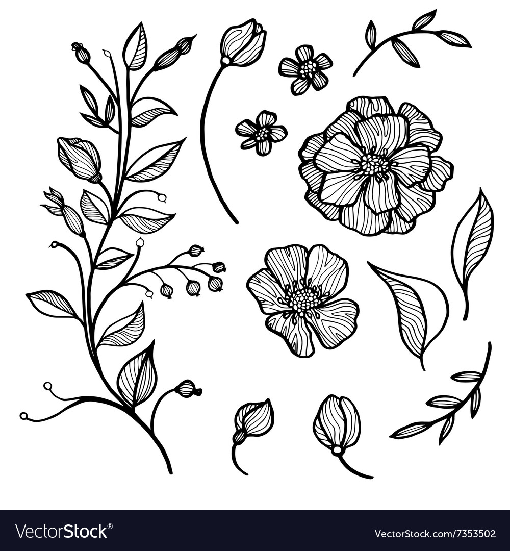 Set Of Flowers Leaves Floral Stems Stock Illustration - Download Image Now  - Flower, Drawing - Art Product, Doodle - iStock