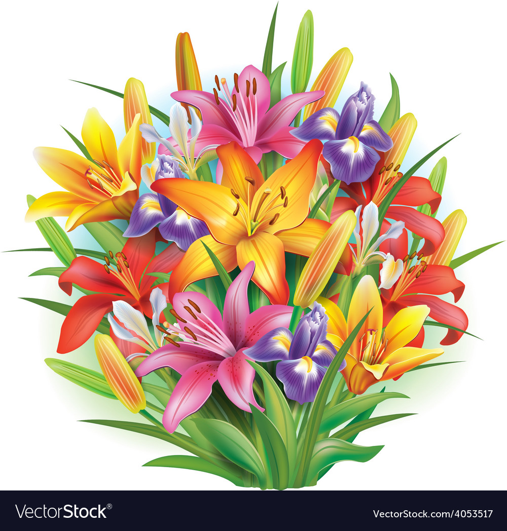 Bouquet of lilies and irises Royalty Free Vector Image