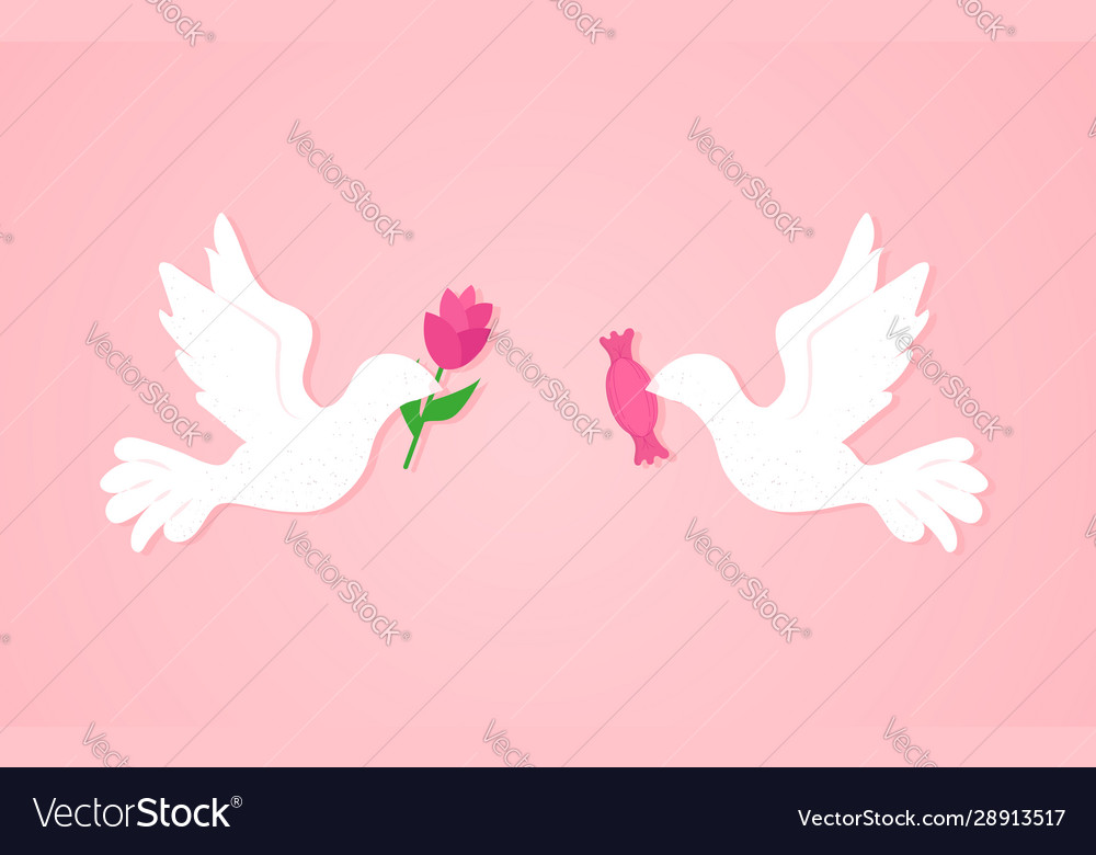 Doves with flower and candy on a pink background