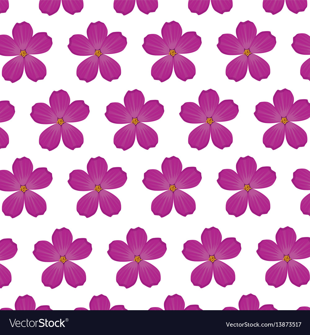Plumeria flower purple wallpaper decoration Vector Image Plumeria flower purple wallpaper decoration Vector Image