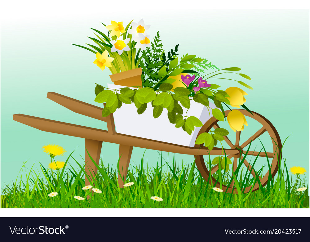 Wheelbarrow and garden plants Royalty Free Vector Image
