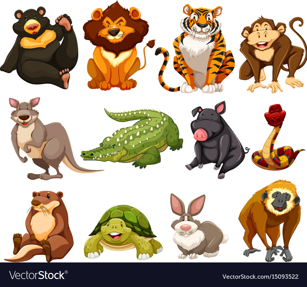 Different kinds of jungle animals Royalty Free Vector Image