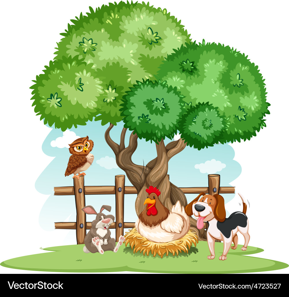 Animals Royalty Free Vector Image - VectorStock