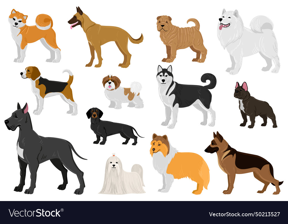 Cartoon dogs different breeds funny domestic Vector Image